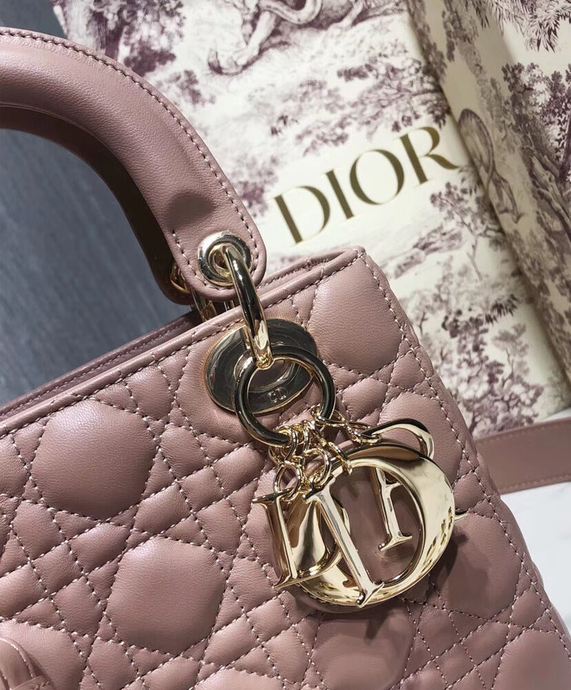 Christian Dior Lady Dior My Abcdior Bag Pink